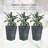 Three-piece tall planter with drainage hole-48187558