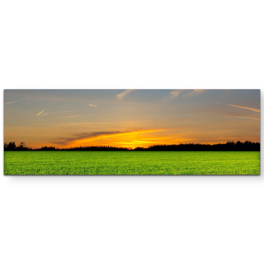 Leinwandbild Grüne Wiese im Sonnenuntergang