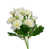 White est en rupture de stock