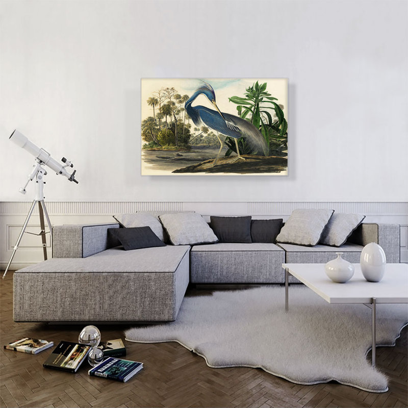 «Louisiana Heron» par James Audubon, reproduction d'art sur toile tendue, H 26 po x l 40 po x P 0,75 po