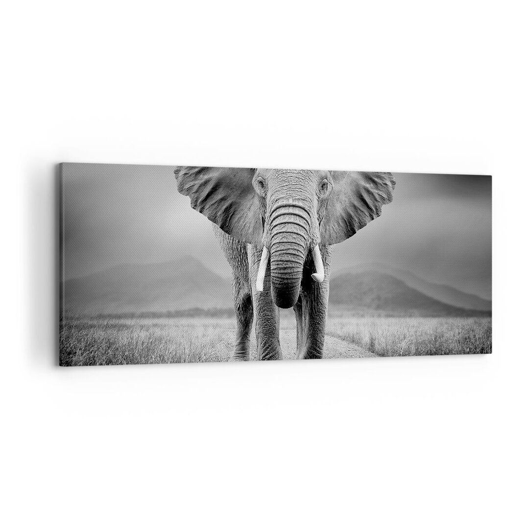 Leinwandbild Elephant Wildness Nature