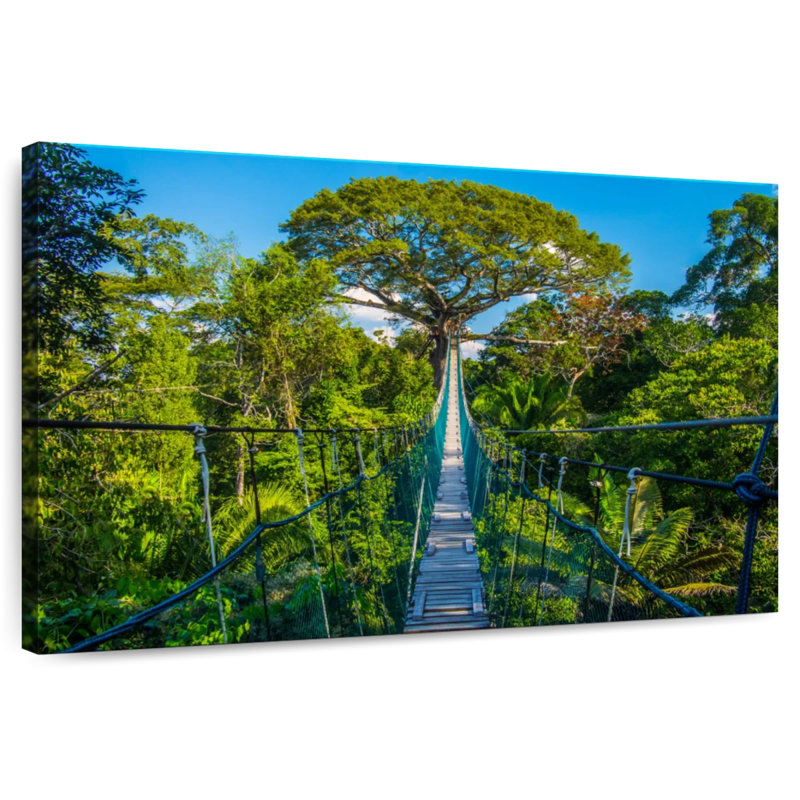 Tambopata Hanging Bridge, 26" H x 39" W