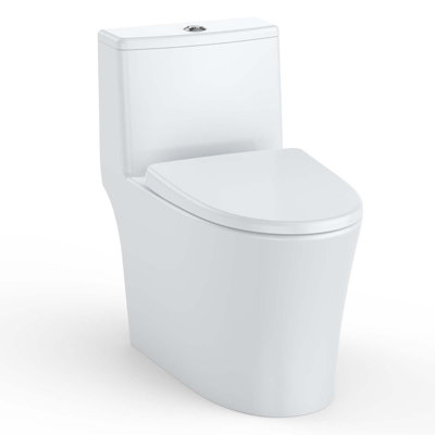 One Piece Toilet, Elongated Dual Flush 0.8/1.28 GPF Toilet