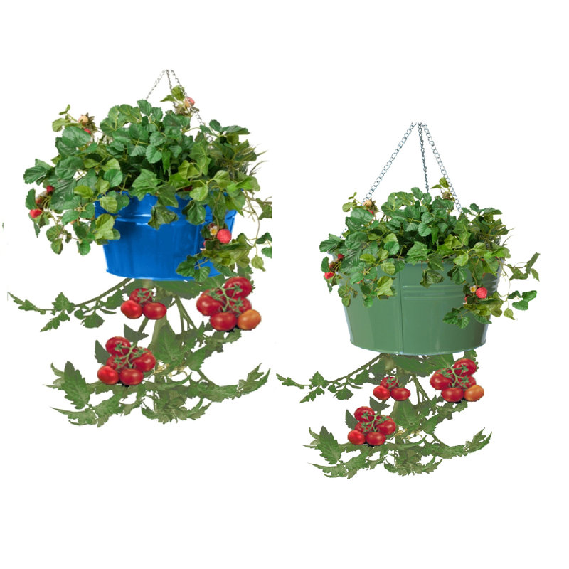 Pot à fleurs suspendu en métal Christianne, Bleu / sauge