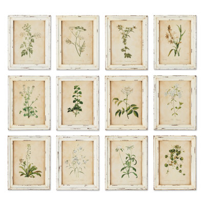 Wild Flower Botanical Set