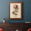 Painterly Rose Study I, toile encadrée de qualité supérieure - prête à être accrochée-892589567