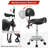 Saddle Stool With Back Support