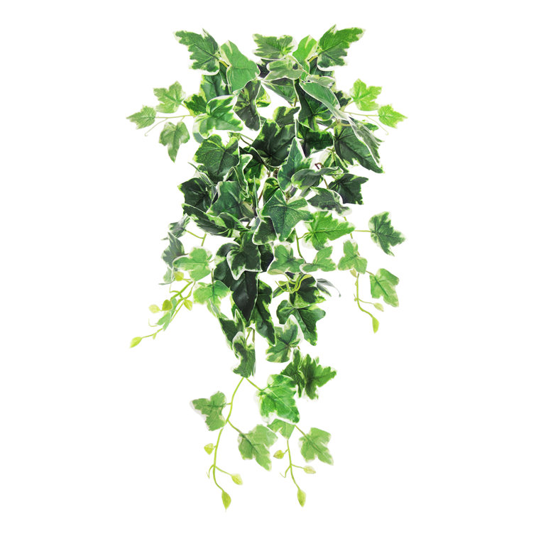 Artificial Varigated Ivy Hanging Bush Astoria Grand Size: 28 H x 8 W x 10 D