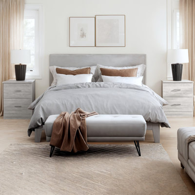 Allyannah 23.6" 2-Drawer Nightstand