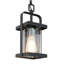 Luminaire suspendu d'extérieur noir 1 lumière H 12,5 po Kostuch
