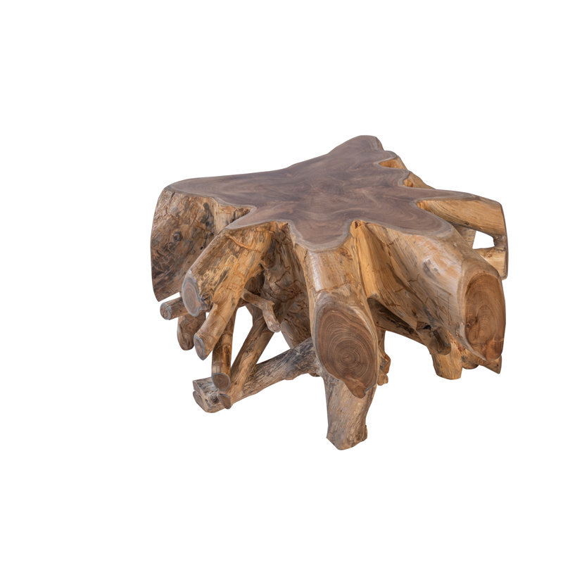 Eiji Solid Wood Coffee Table