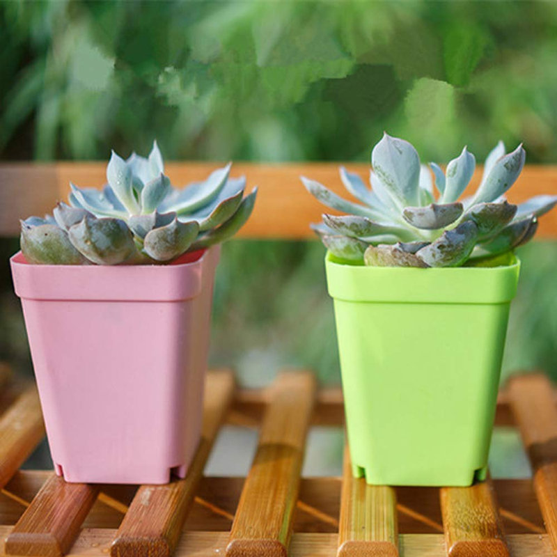 Paquet de 24 pots à fleurs en plastique de 2,8 pouces avec soucoupes, pots à plantes avec trous de drainage pour plantes d'extérieur et d'intérieur