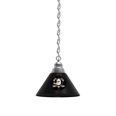 1 - Light Single Pendant