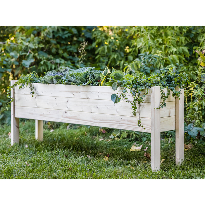 Fidelas Wood Elevated Planter, 60"L X 12" W X 22"H