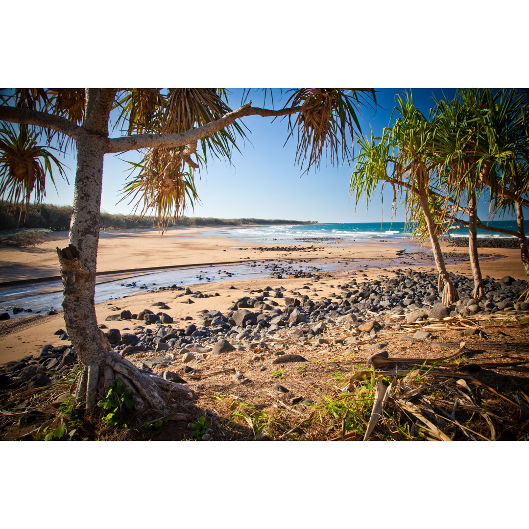 Mon Repos Beach Bundaberg Queensland Australien by Vkp-australia - Drucken