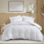 Housse de couette rayée 3 pièces (taille Queen) avec système antidérapant, sans toxines, idéale pour les chambres d'amis. Design tissé, envers doux comme un nuage, repassage facile.