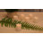 Battery Operated Mini Unscented Pillar Candle - 6 Count