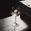 Aroma Copa Gin Balloon Glass