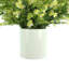 Wild Floral Arrangement in a Pot