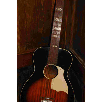 " Brown Guitar Photography "