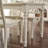 White Rectangular Solid Dining Table For Dining Room/Kitchen