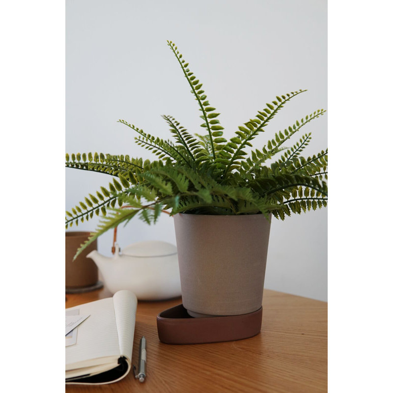 Sip Planter, Stone