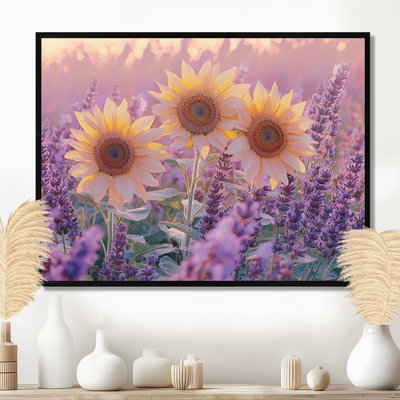 Tournesols Craney dans un champ de lavande au coucher du soleil - Tournesols, art mural