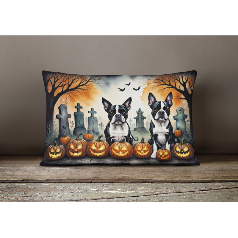 Other/No Pattern Outdoor Throw Pillow