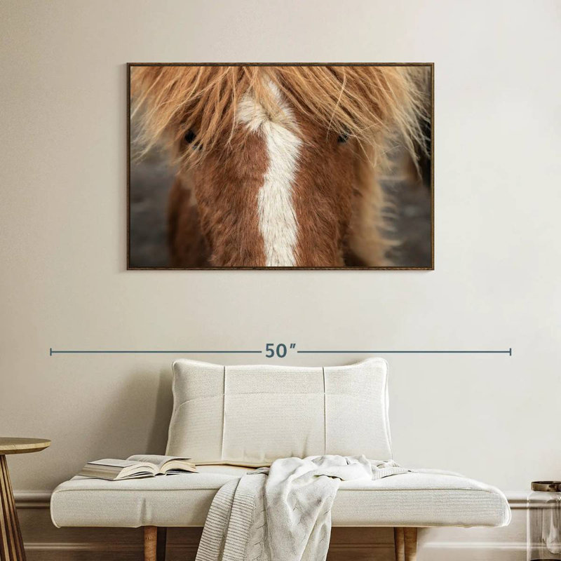 Gros plan d'un cheval Islandais, Cadre flottant noyer, 40 po x 27 po