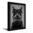 Animals Dog Holding Game Controller In Mouth-1784174429-1784174431-1784174428