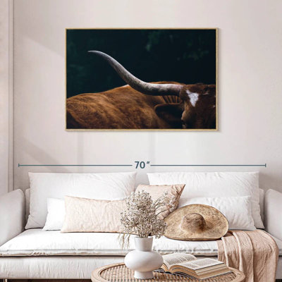 Cow Texas Longhorn