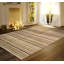 Striped Area Rug in Multi