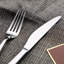 Canora Grey Antwion 24 Piece Stainless Steel Cutlery Set , Service for 6-486444682