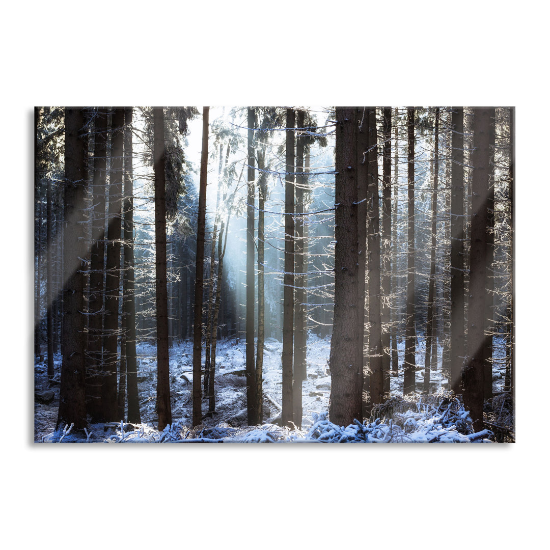 Glasbild Winterwald