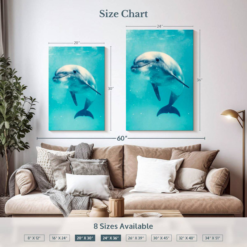 Brampt Bottlenose Dolphin Underwater, 36" H x 24" W