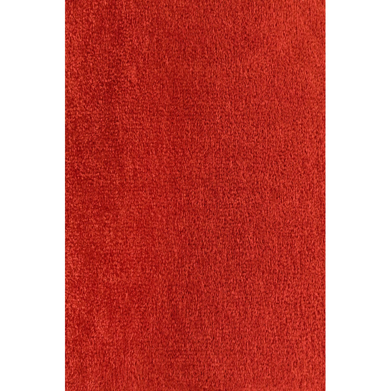 Soft Hall Carpet 2.6 x 4.9 Feet | 100% Polyester, 0.04 in Pile Height | Antibacterial, Non-Slip Underside | Woven with 3D Digital Printing | Machine Washable | Durable & Stylish for Entryways & Living Rooms