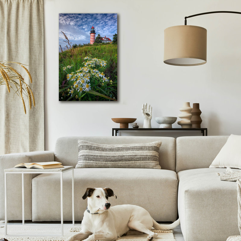 Art mural en verre Breakwater Bay «Tall White Asters At West Quoddy Head» par Rick Berk, H 36 po x l 24 po x P 0,2 po