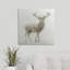 Ieuan " Stag " by James Wiens-19202879-26544859