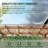 12 x 10 FT Outdoor Wood Pergola, Wooden Grape Pergola for Climbing Plant Support for Garden, Patio, Backyard, Deck