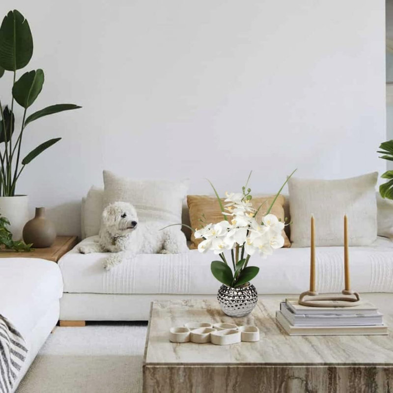 Arrangement