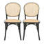 Chaises de salle à manger (ensemble de 2)-1729085621