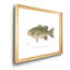Petite basse noire - reproduction de cadre photo sur toile-36930319-36930318