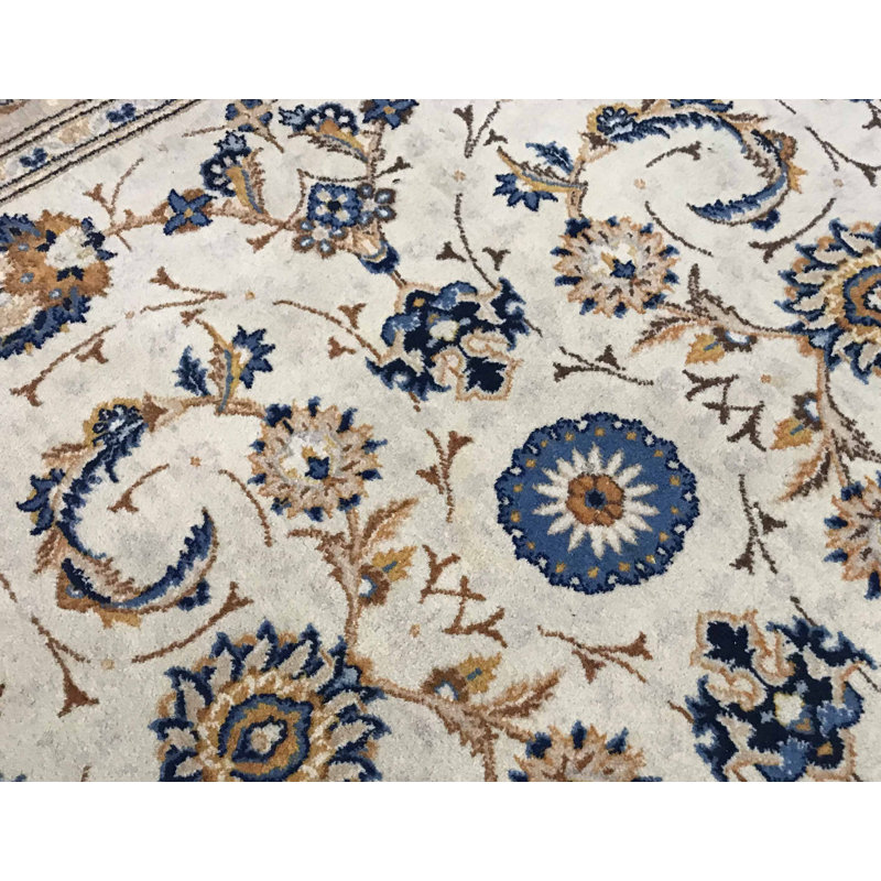Wool Oriental Area Rug in Ivory
