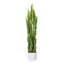 Plante de serpent artificielle de 3 pi en pot de ciment