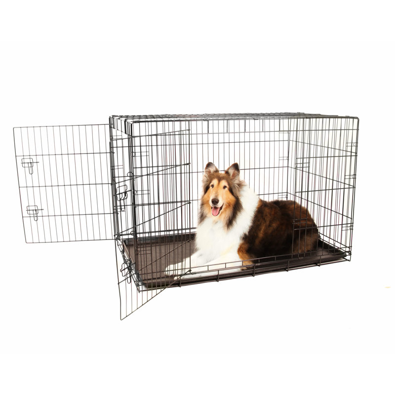 Collapsible Pet Crate with 2 Doors, Extra Large (33" H x 30" W x 48" D)