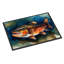Brown Trout Doormat-1018708582