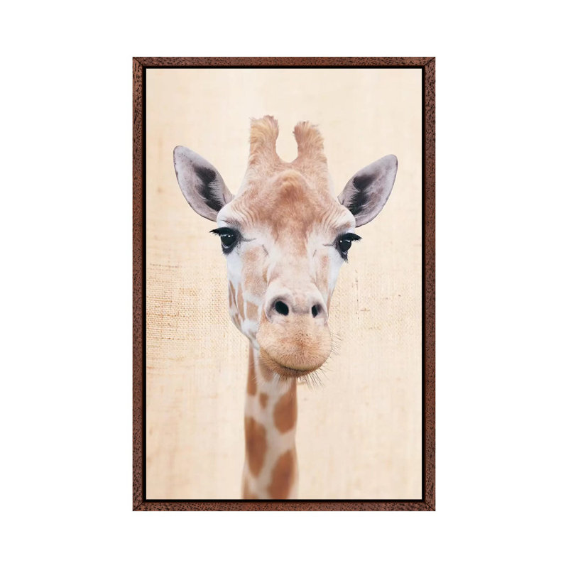 Manyara by Rachael Hale - Print on Canvas, 101.6 cm H x 66.04 cm W, Classic Brown Wood Framed