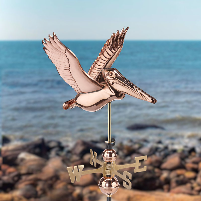 Girouette Pelican