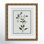 Colombe "Shabby Elegance Botanical II" Print
