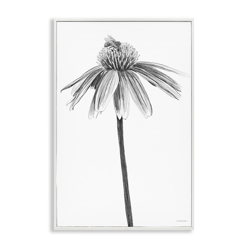 Art de marguerite simple par Kamdon Kreations bg-232, Giclée encadrée blanc bord de mer, H 18 po x l 12 po